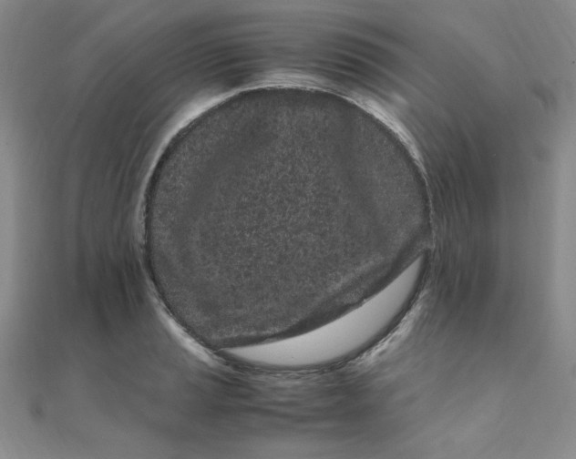 X0000108481037200904171606