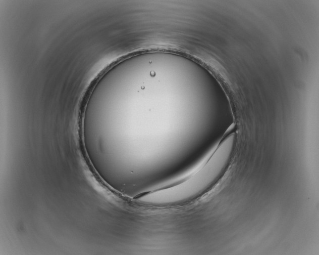 X0000108481038200904171606