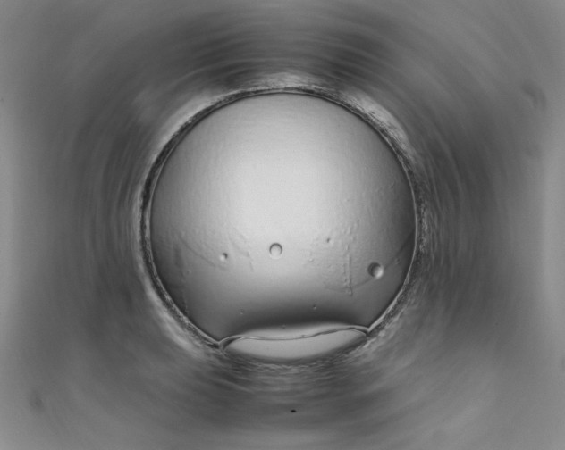 X0000108481039200904171606