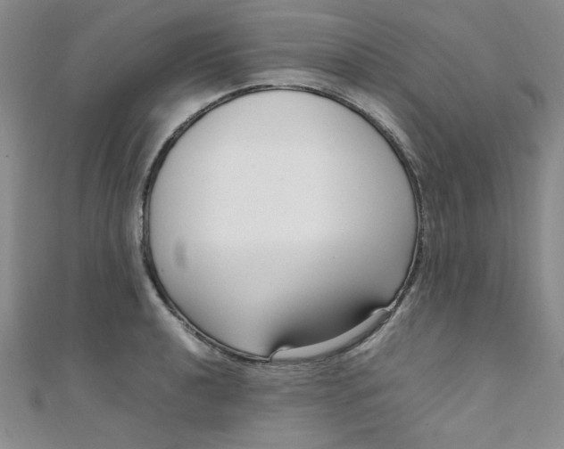 X0000108481040200904171606