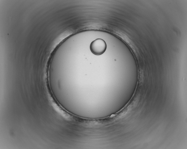 X0000108481042200904171606