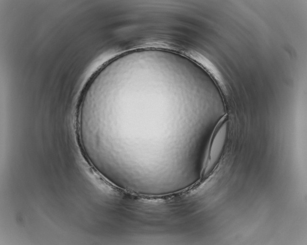 X0000108481043200904171606
