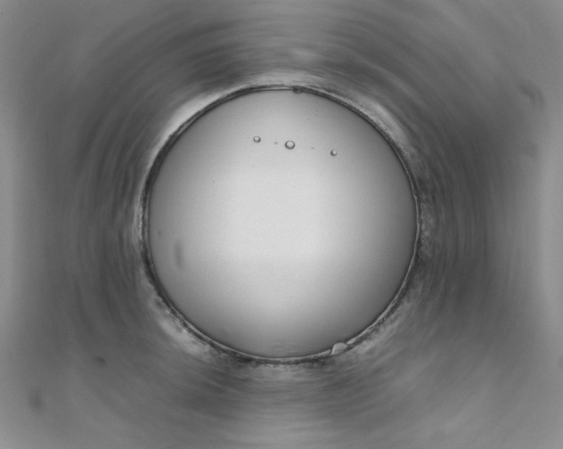 X0000108481044200904171606