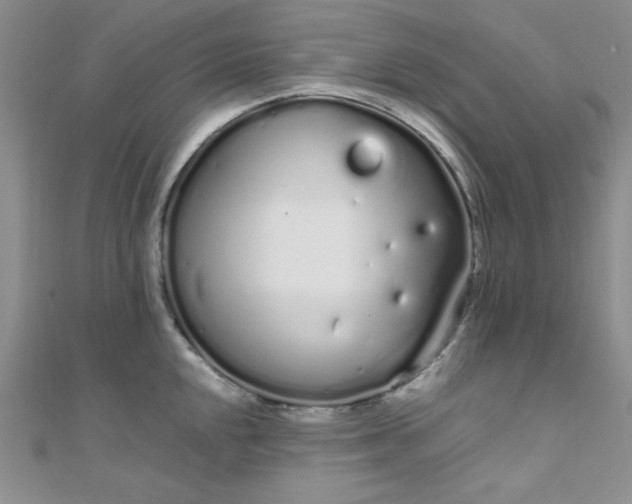 X0000108481048200904171607