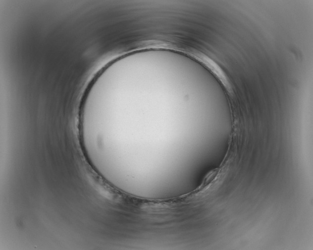 X0000108481051200904171607