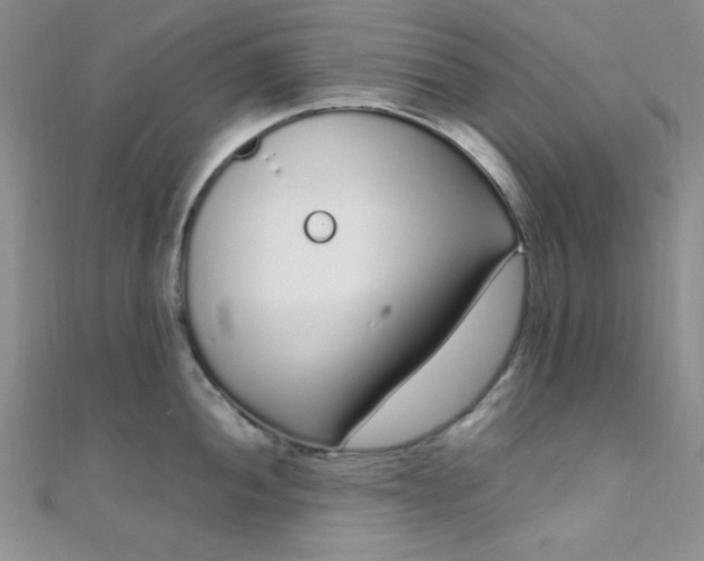 X0000108481052200904171607