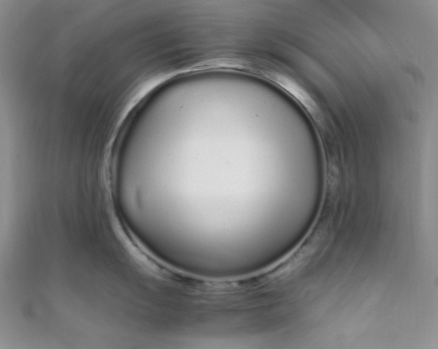 X0000108481055200904171607