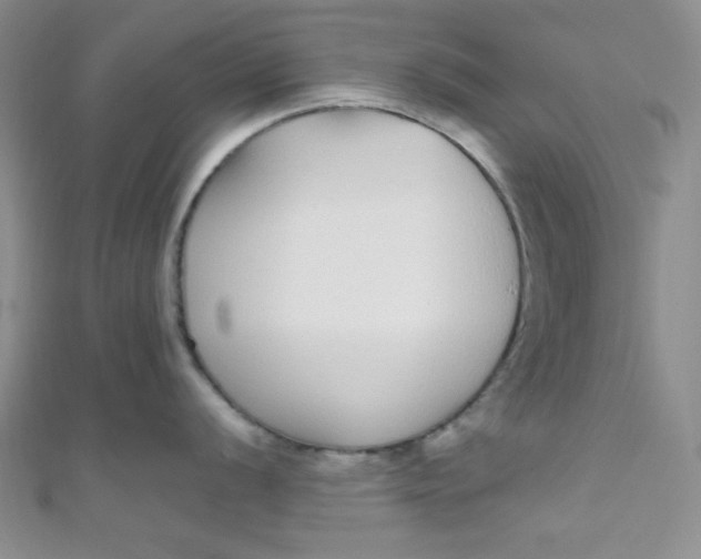 X0000108481056200904171607