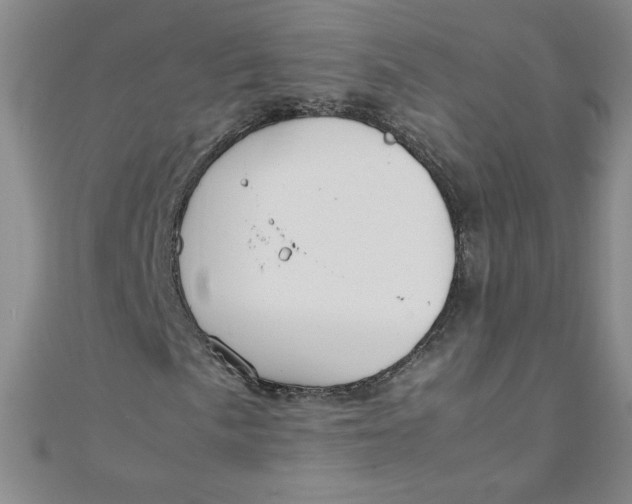 X0000108481057200904171606