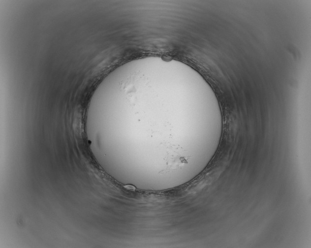 X0000108481058200904171606
