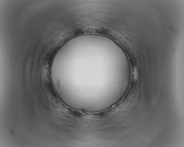 X0000108481059200904171606
