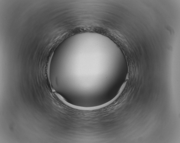 X0000108481060200904171606
