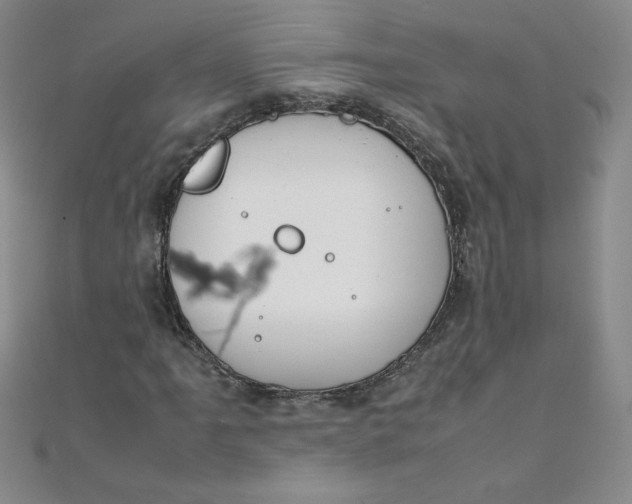 X0000108481061200904171606