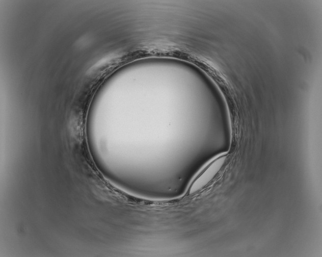 X0000108481063200904171606