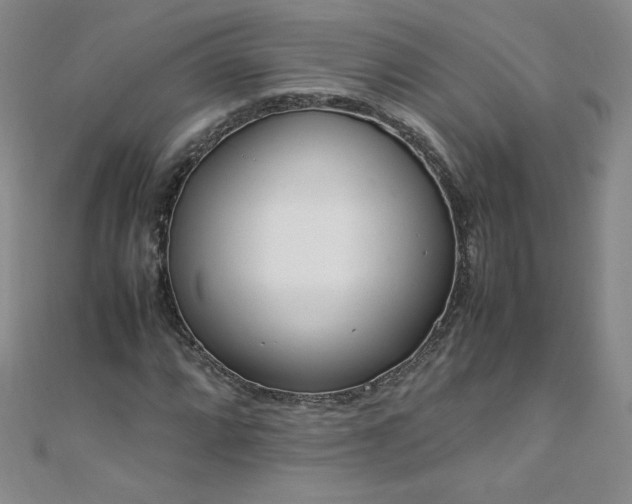 X0000108481064200904171606