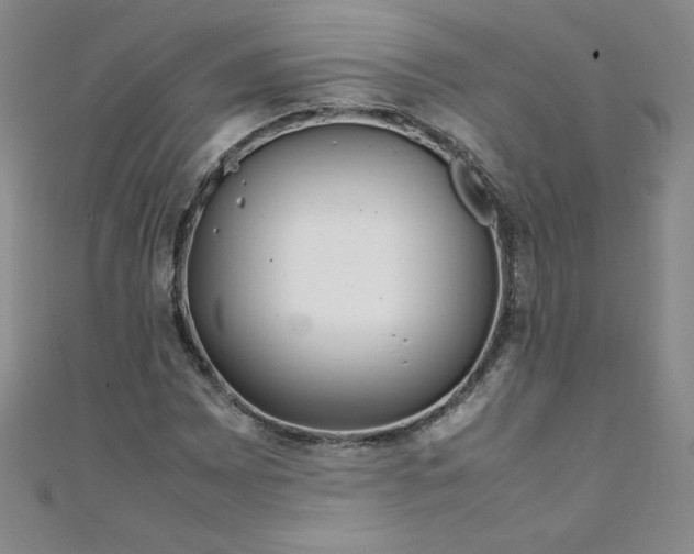 X0000108481065200904171606