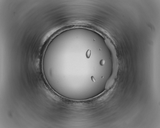 X0000108481066200904171606