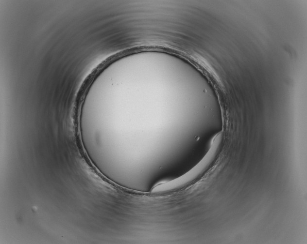 X0000108481068200904171606