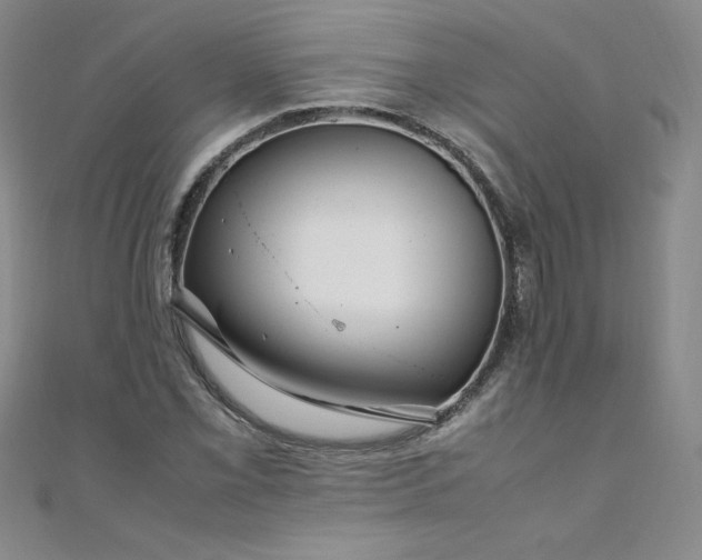 X0000108481069200904171606