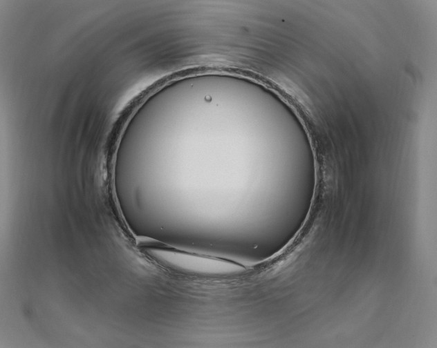 X0000108481070200904171606