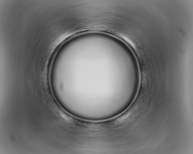 X0000108481071200904171606