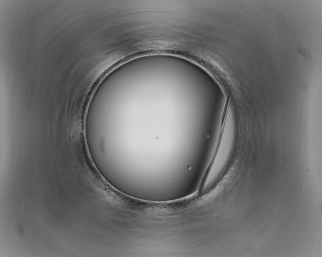 X0000108481073200904171606