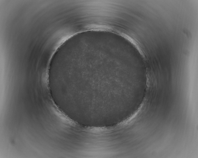 X0000108481074200904171606