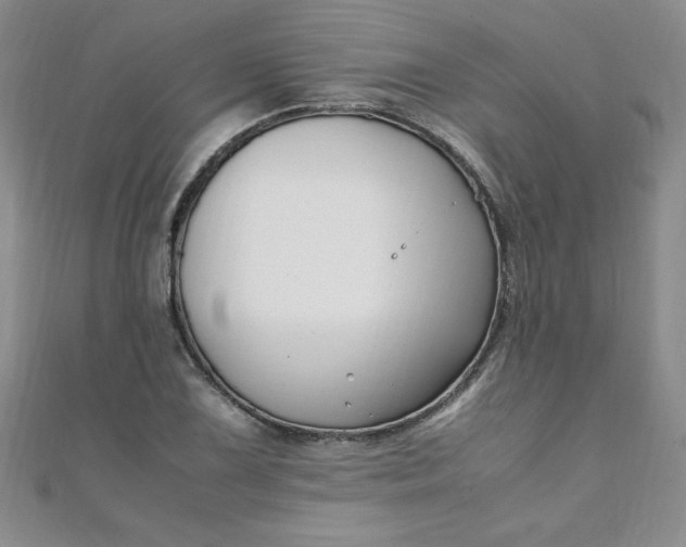 X0000108481075200904171606