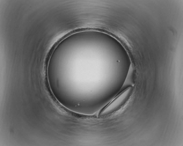X0000108481077200904171606
