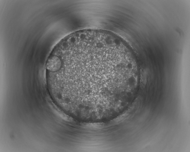 X0000108481078200904171606