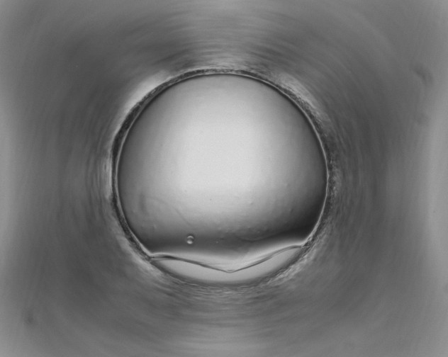 X0000108481079200904171606