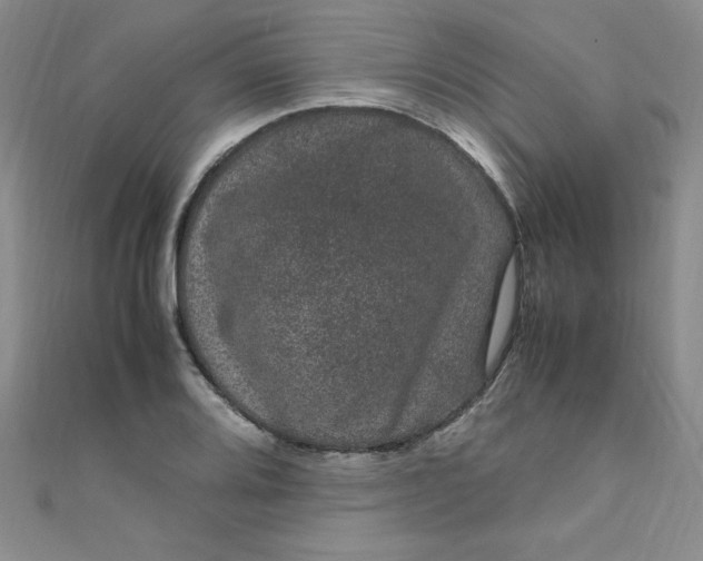 X0000108481080200904171606