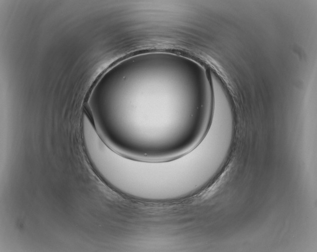 X0000108481081200904171606