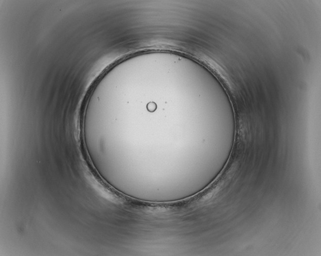 X0000108481082200904171606