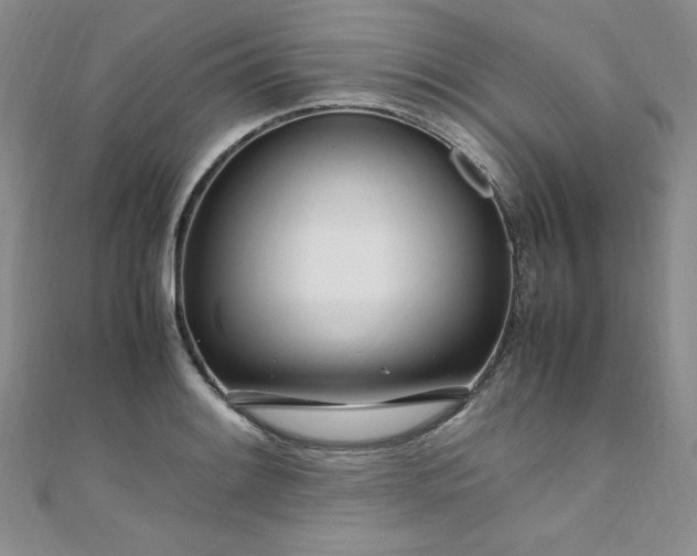 X0000108481084200904171606