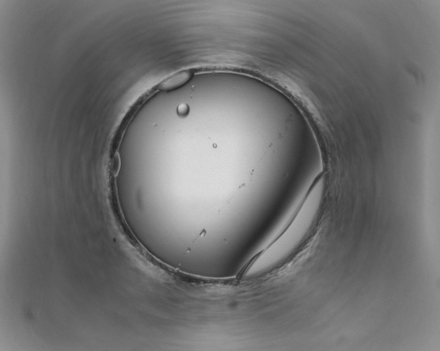 X0000108481085200904171606