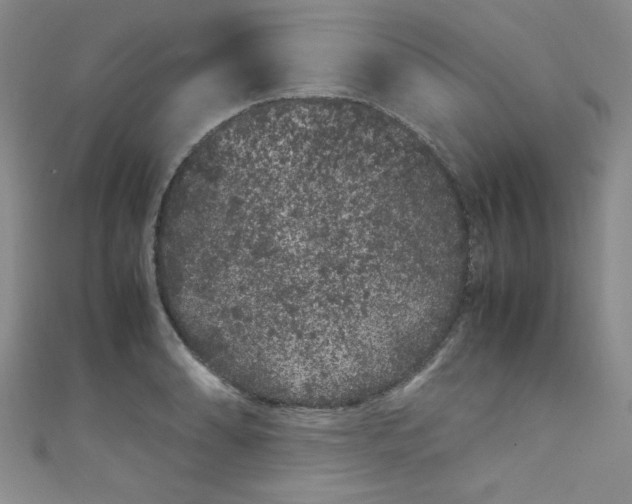 X0000108481086200904171606