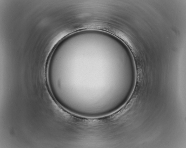 X0000108481087200904171606
