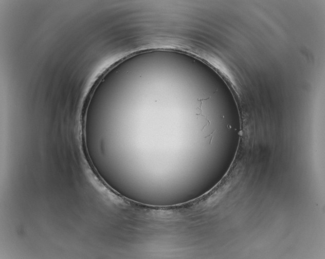 X0000108481088200904171606