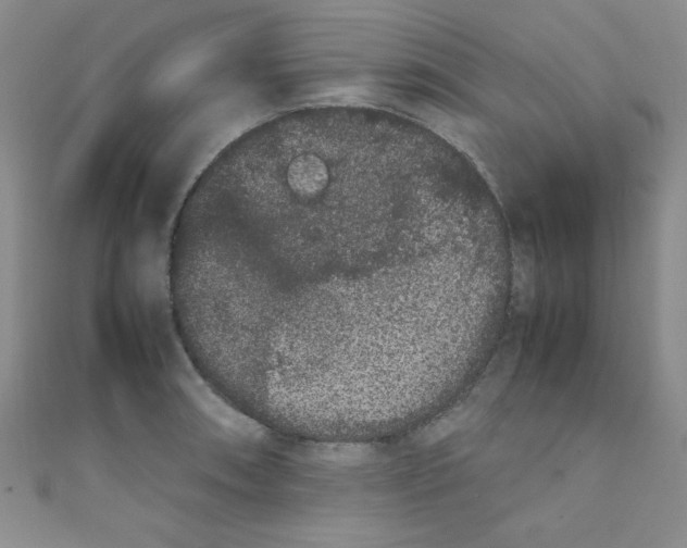 X0000108481090200904171605
