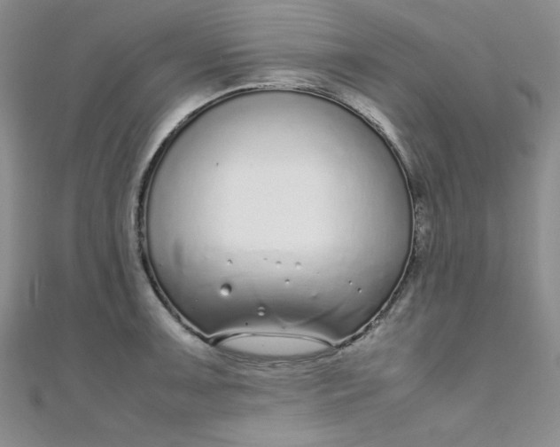 X0000108481091200904171605