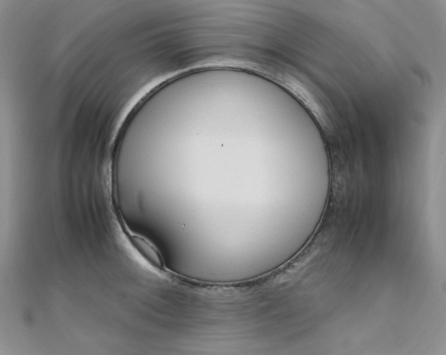 X0000108481092200904171605