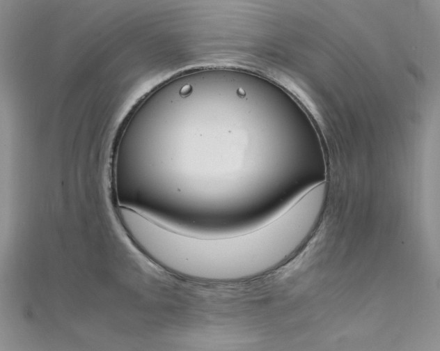 X0000108481093200904171605