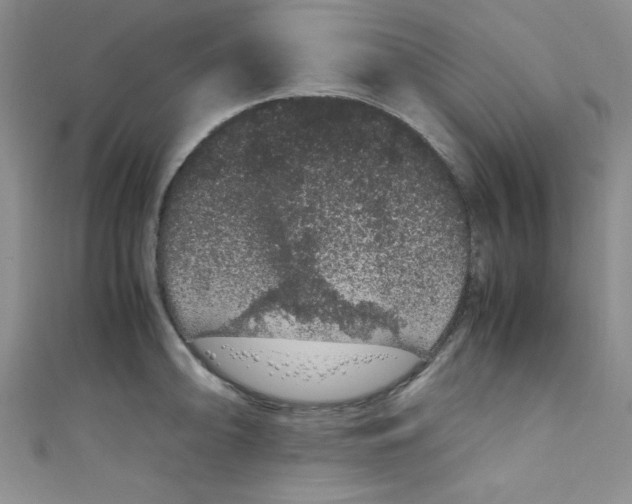 X0000108481094200904171605