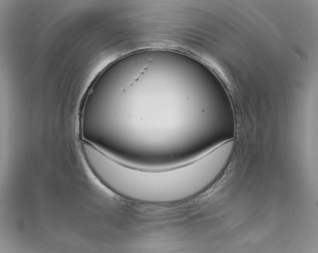 X0000108481095200904171605