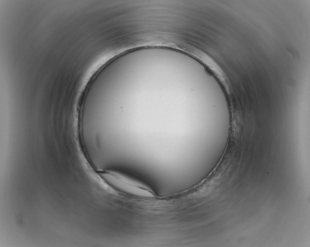 X0000108481096200904171605
