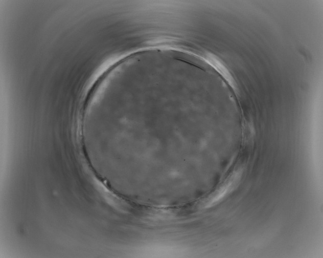 X0000108481101200904171605