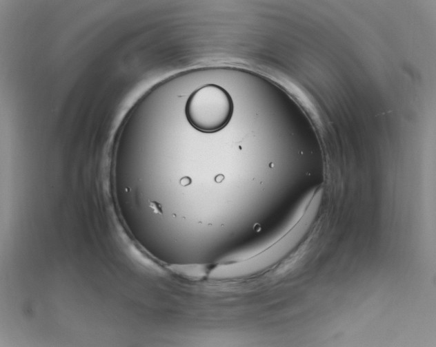 X0000108481102200904171605