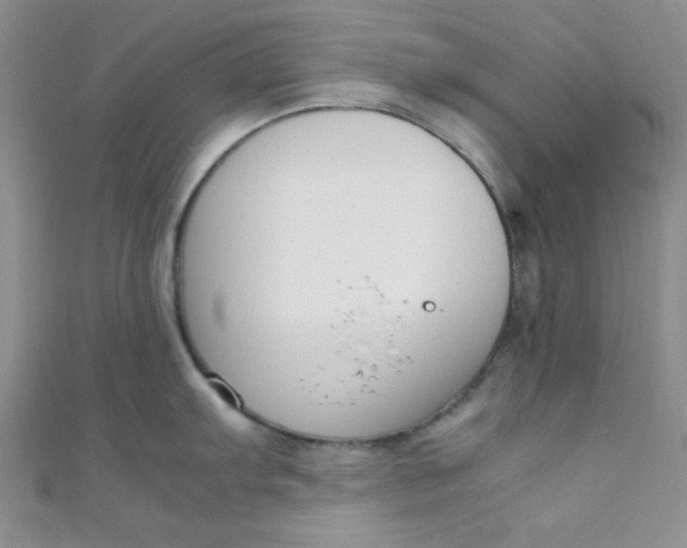 X0000108481103200904171605