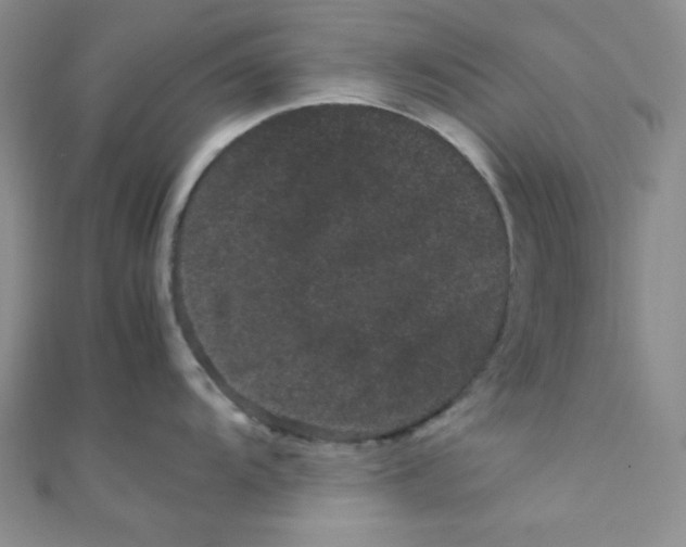 X0000108481104200904171605